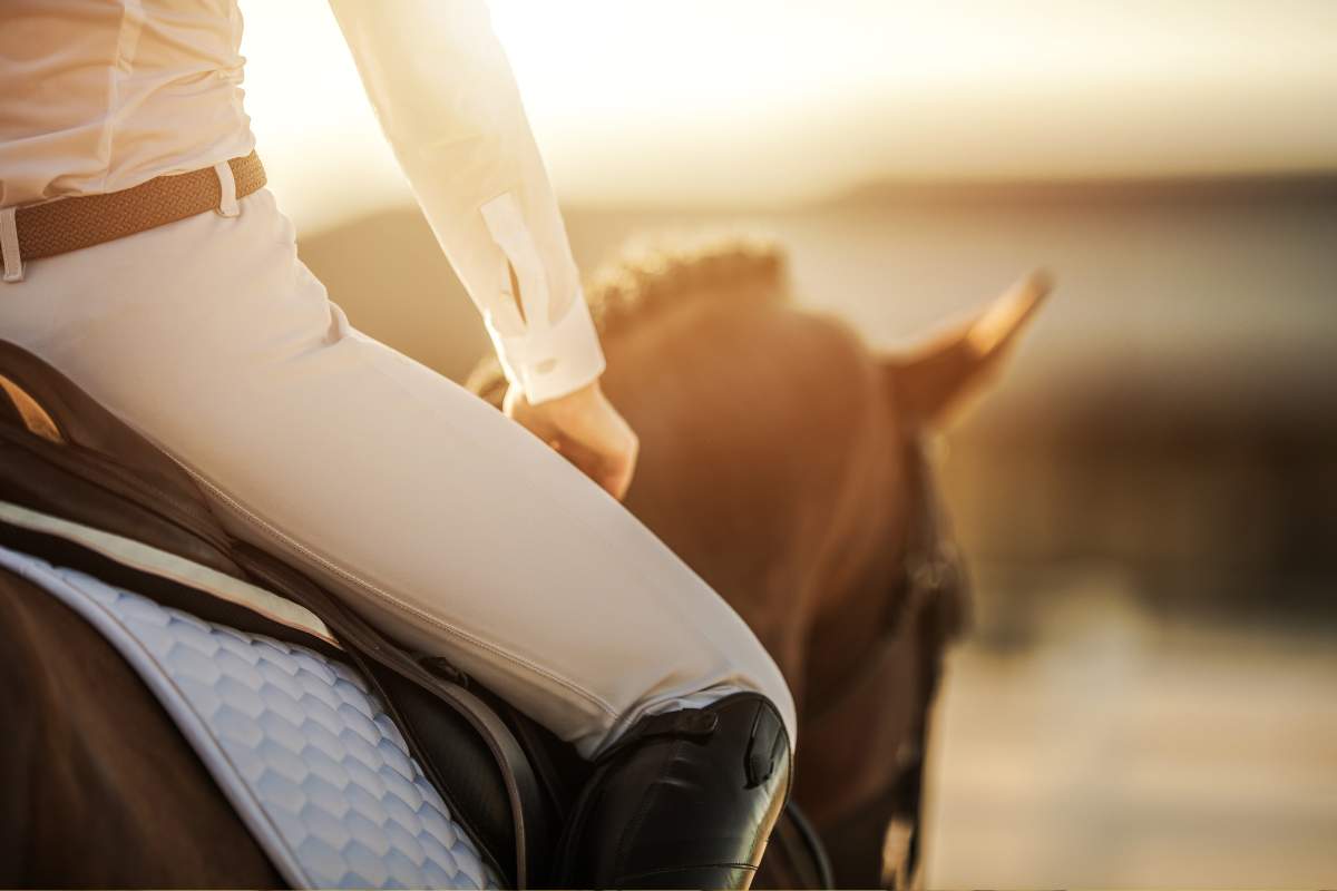 Comment le cheval peut contribuer à votre bien être 